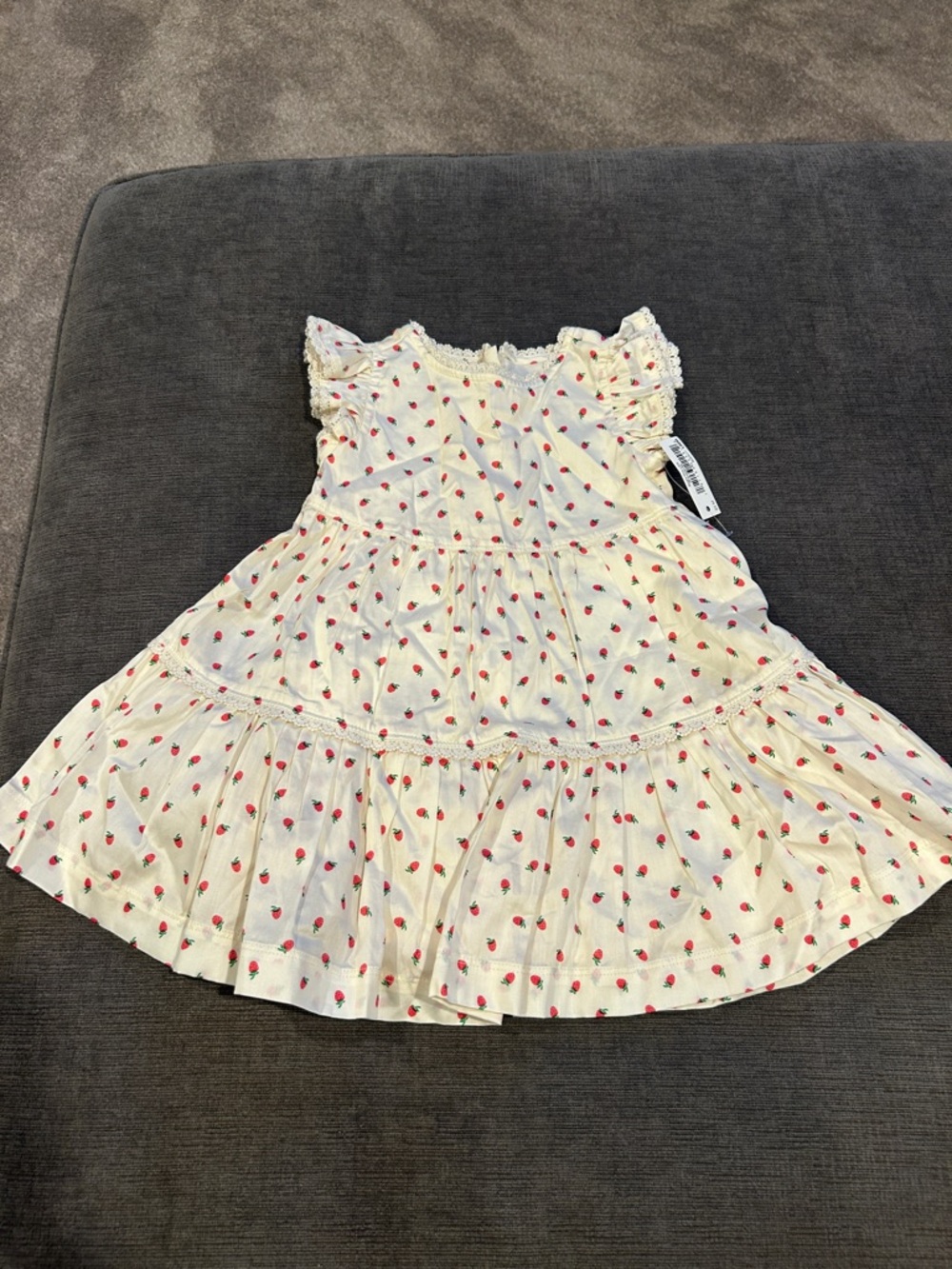 Amazon Sofia Grange Girls Sz 24 months toddler Ivory Strawberry Dress NWT